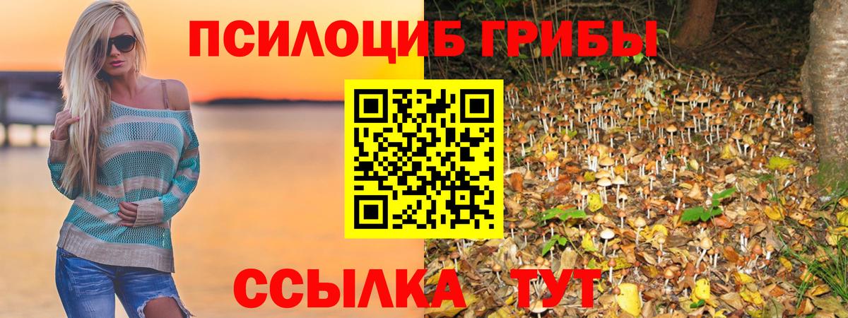 Новокубанск  Галлюциногенные грибы ЛСД  Вход с VPN 