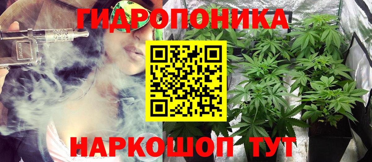 Каннабис Ganja  Вход с VPN  Шишки марихуана LSD WEED  Конопля сатива  Новокубанск 